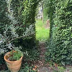 Kraeutergarten * Gernsbach
