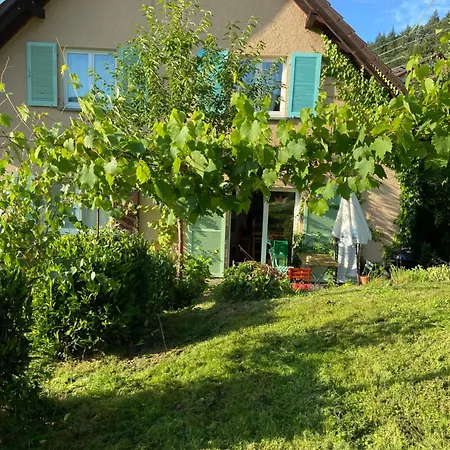 Apartamento Kraeutergarten