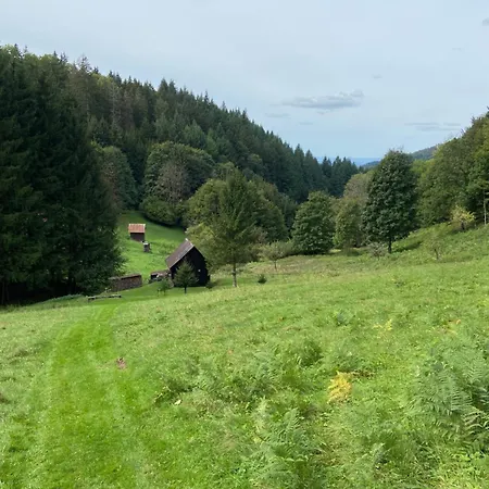 Kraeutergarten