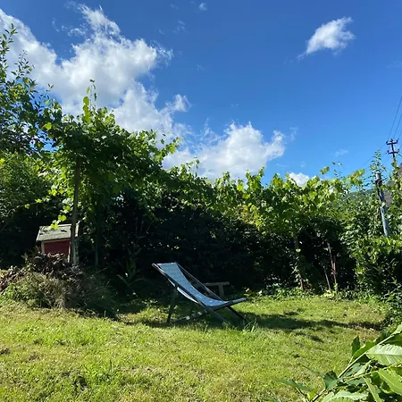 Kraeutergarten * Gernsbach