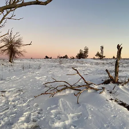 Kraeutergarten Gernsbach