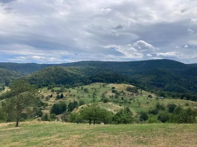 Kraeutergarten Lägenhet