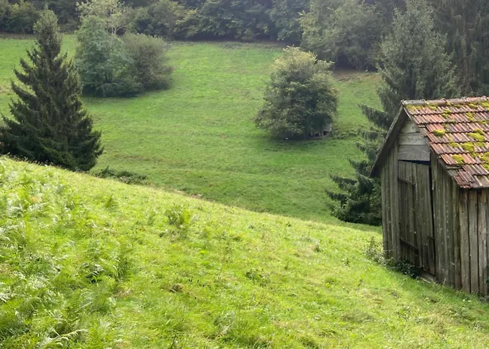 Lägenhet Kraeutergarten Gernsbach