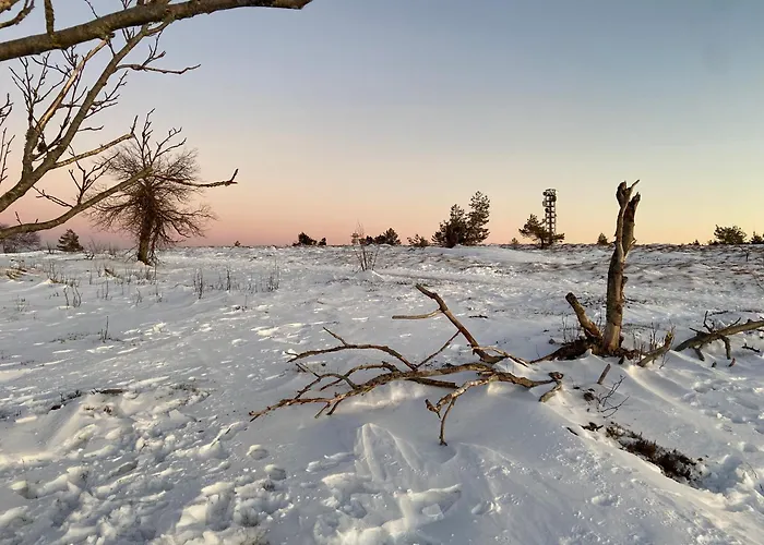 Kraeutergarten Gernsbach