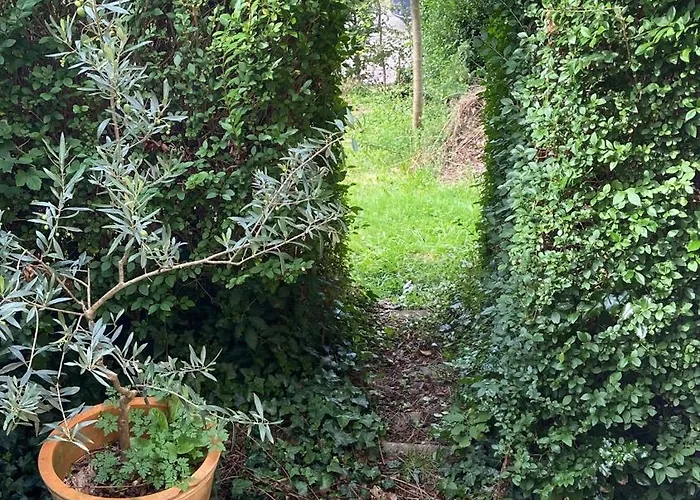 Kraeutergarten * Gernsbach